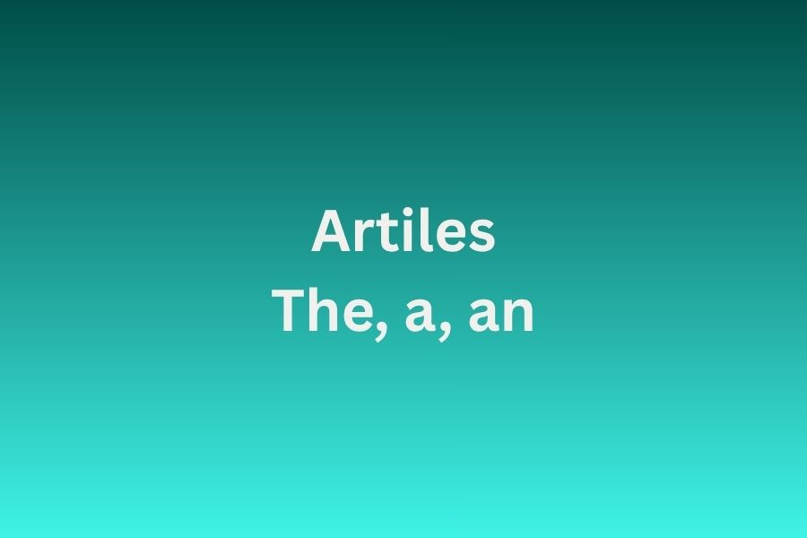 Worksheet for Article | Practice Sheets for Daily Learning | iWorksheetz